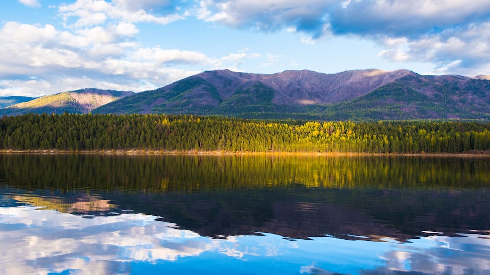 A calm lake reflecting mountains and a dense forest.