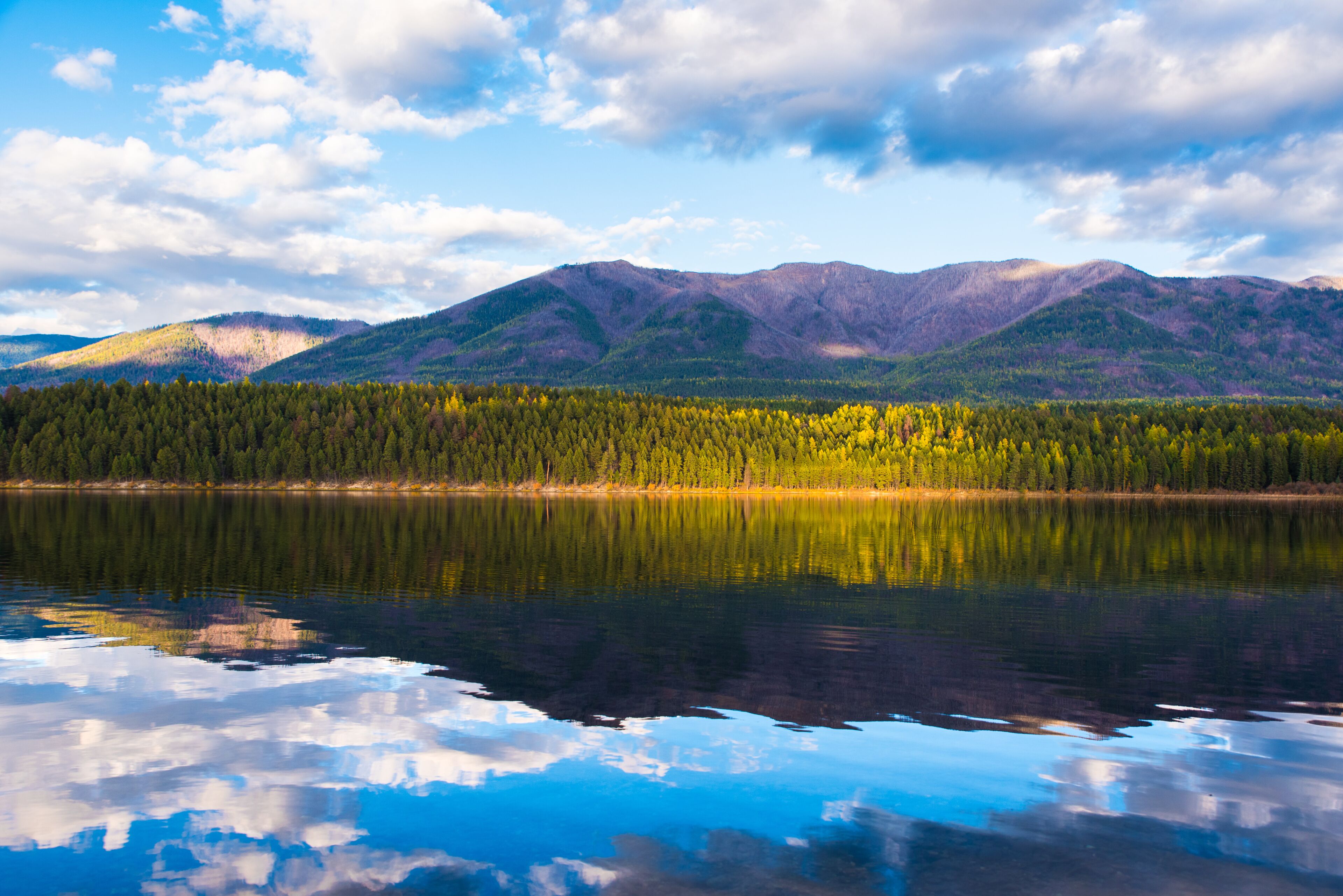A calm lake reflecting mountains and a dense forest.