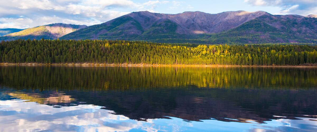 A calm lake reflecting mountains and a dense forest.