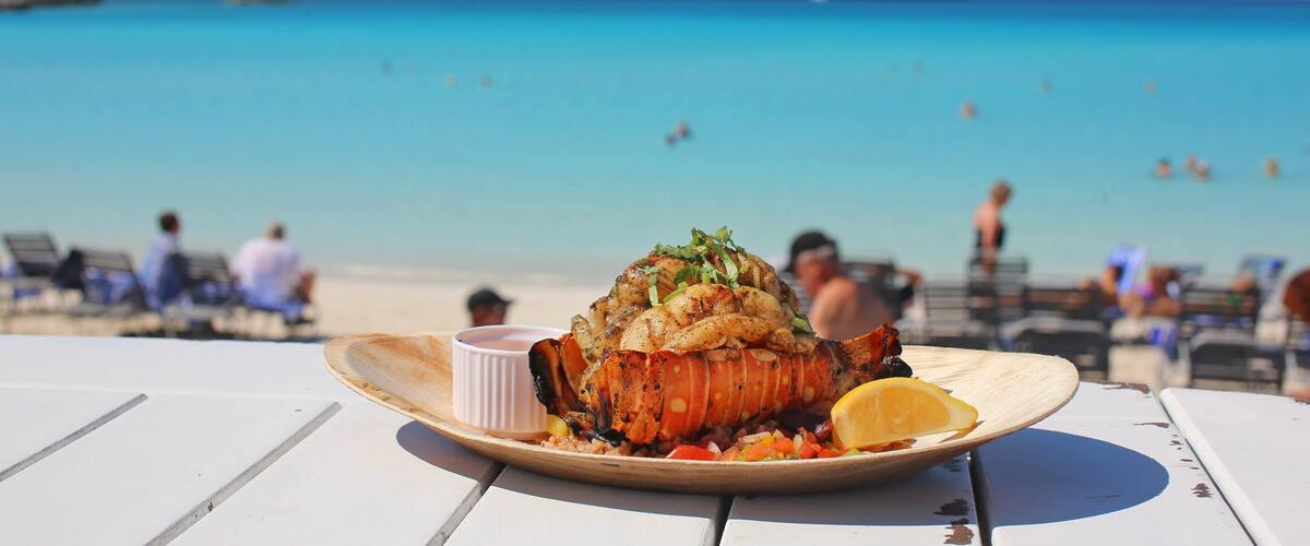 Little San Salvador Island Hotel Guide
