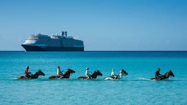 Little San Salvador Island featuring general coastal views, horseriding and cruising