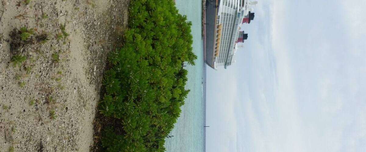 Disney Dreams cruiseship..a dream within a dream