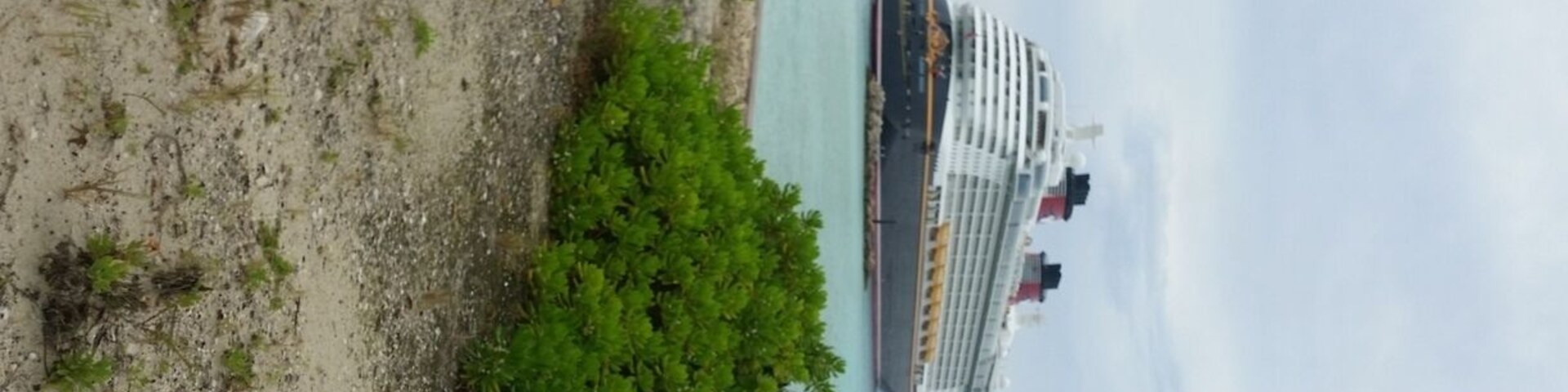 Disney Dreams cruiseship..a dream within a dream