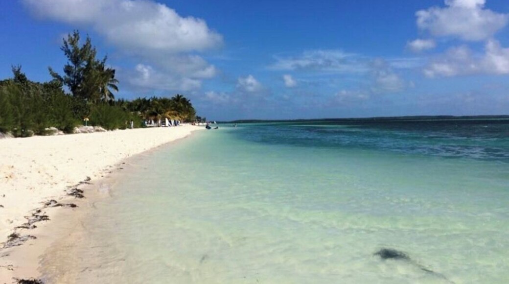 Cruising the Caribbean with Royal Caribbean ? Be sure to take the excursion to their own private island. Walk away from the crowds to find a secluded spot. #LifeAtExpedia