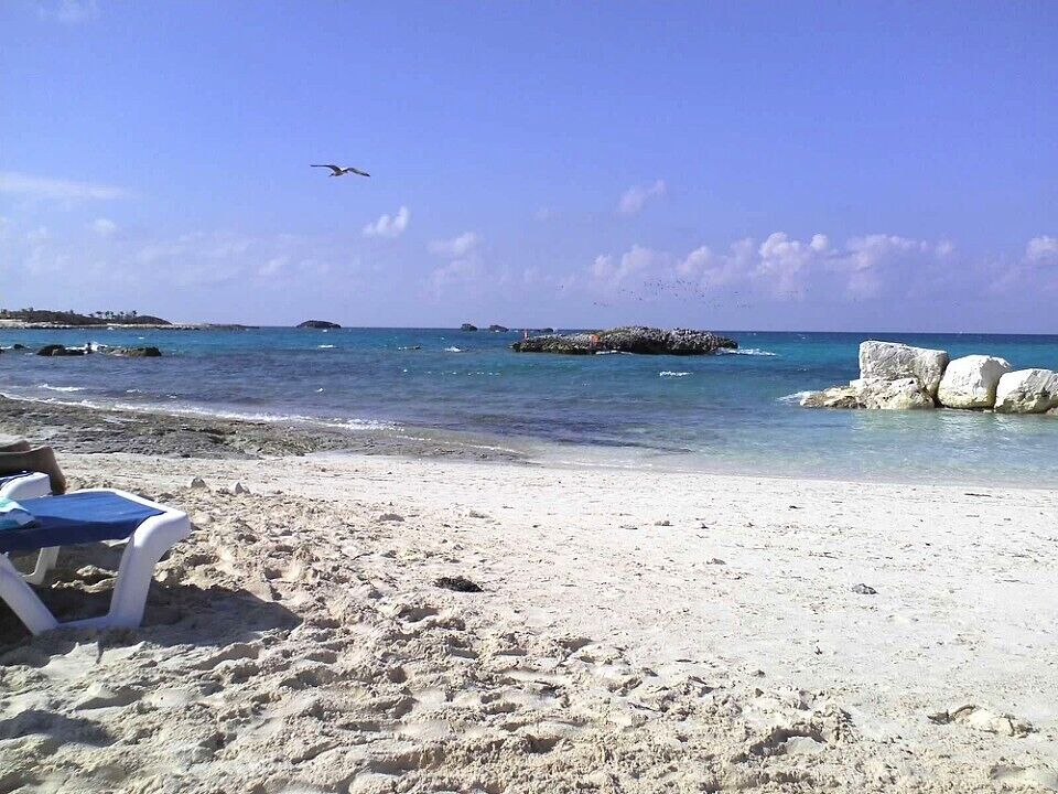 A sandy beach with white rocks and a clear blue sky.