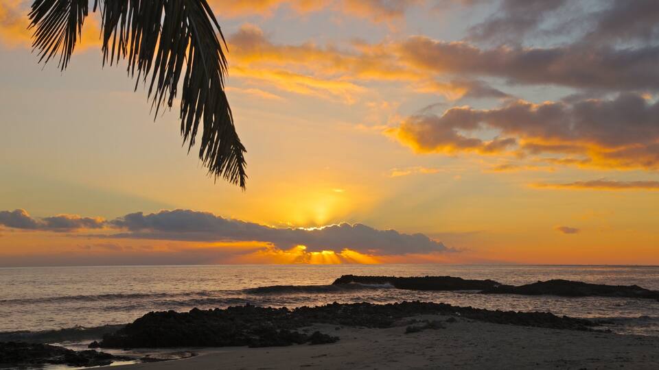 A sunset over a beach with palm leaves in the foreground and a rocky shoreline.