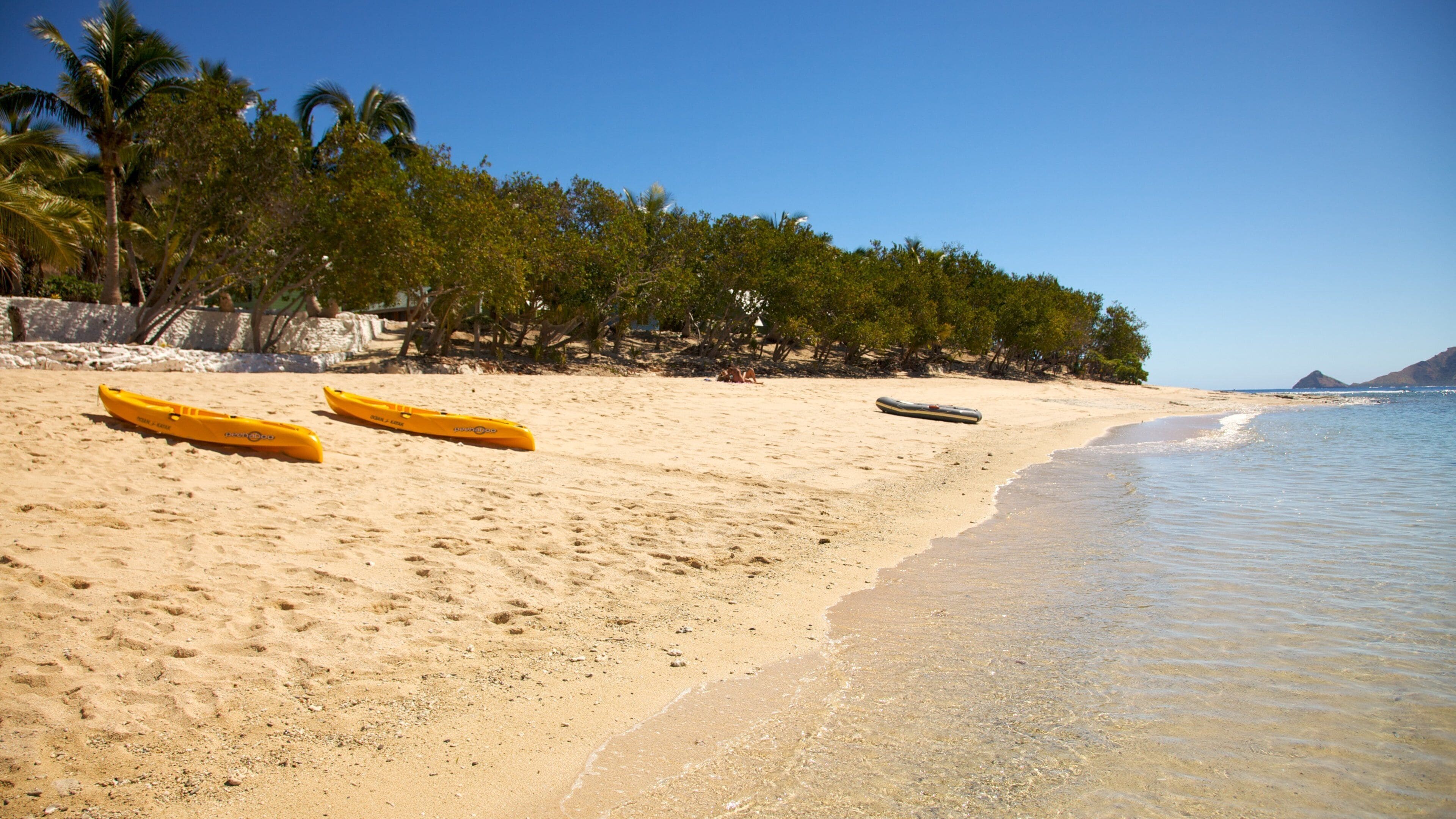 A sandy beach with three yellow kayaks and a black kayak. Palm trees line the beach, and the ocean is visible in the background.