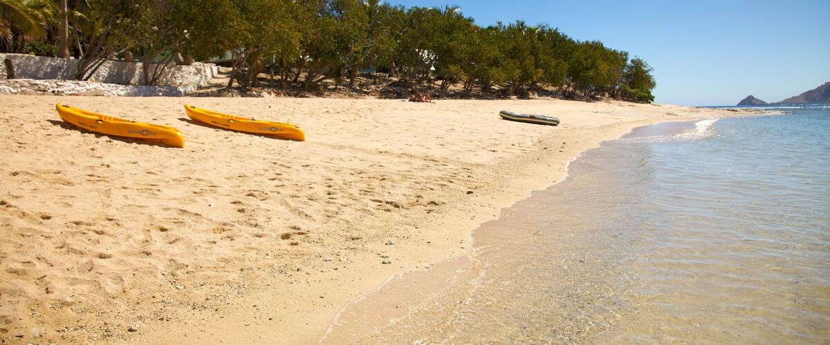 A sandy beach with three yellow kayaks and a black kayak. Palm trees line the beach, and the ocean is visible in the background.
