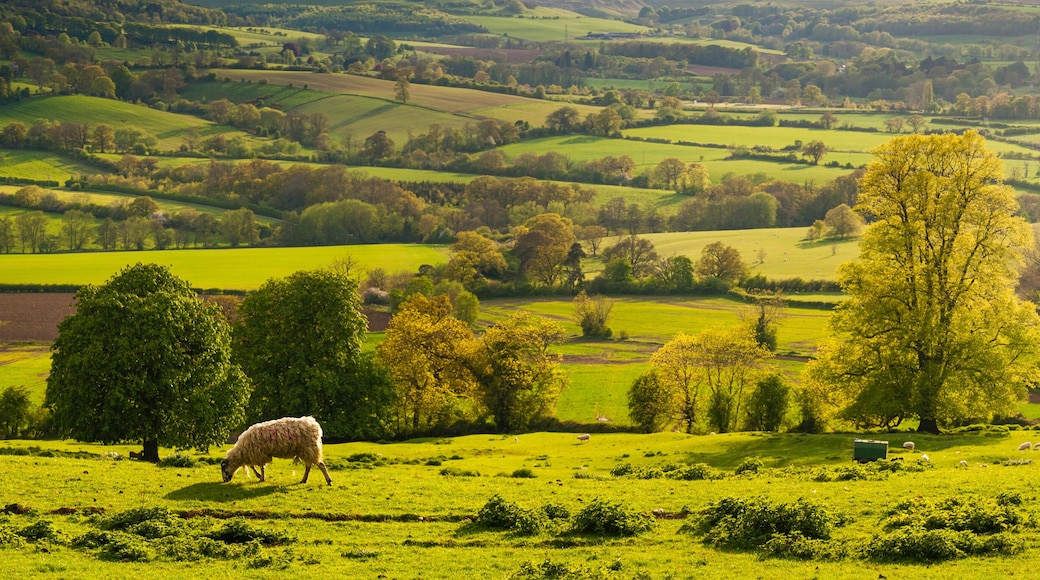 ChaĂźne de collines Cotswolds