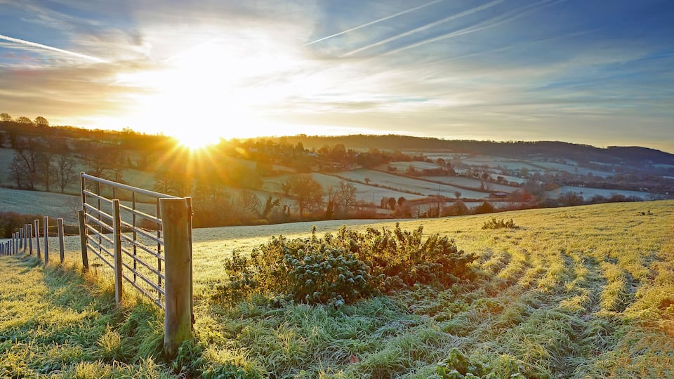 A rural landscape with a metal gate, frost-covered grass, and a sunlit field.