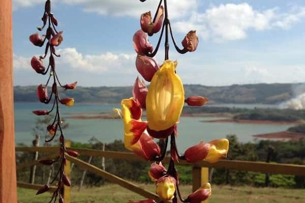 View of Arenal Lake, Costa Rica