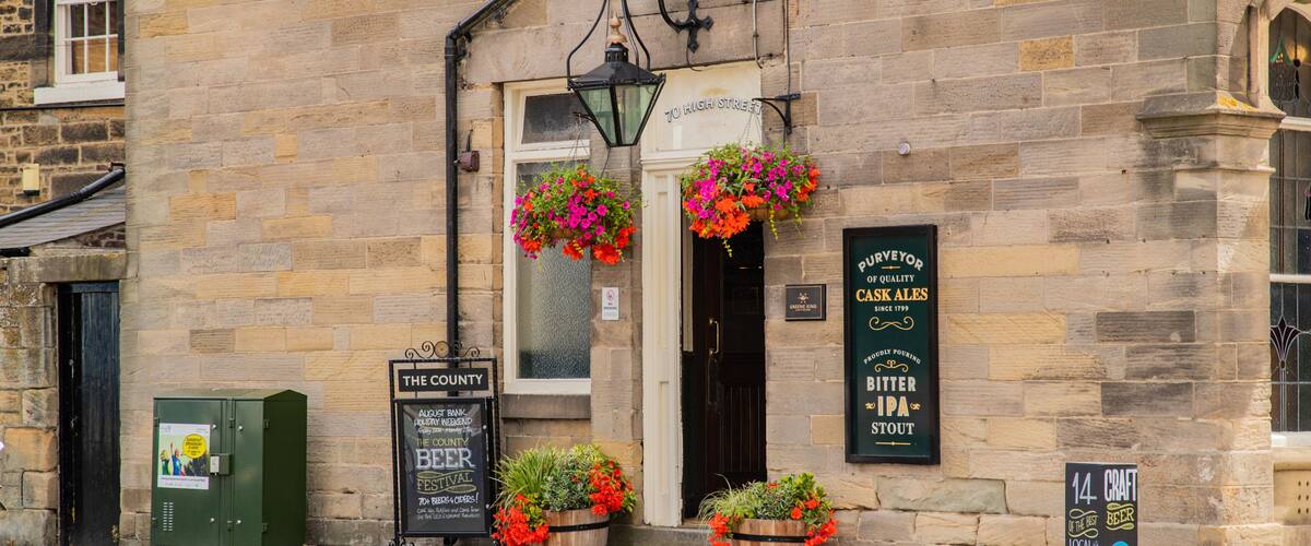 Gosforth featuring flowers