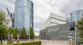 Gosforth showing modern architecture