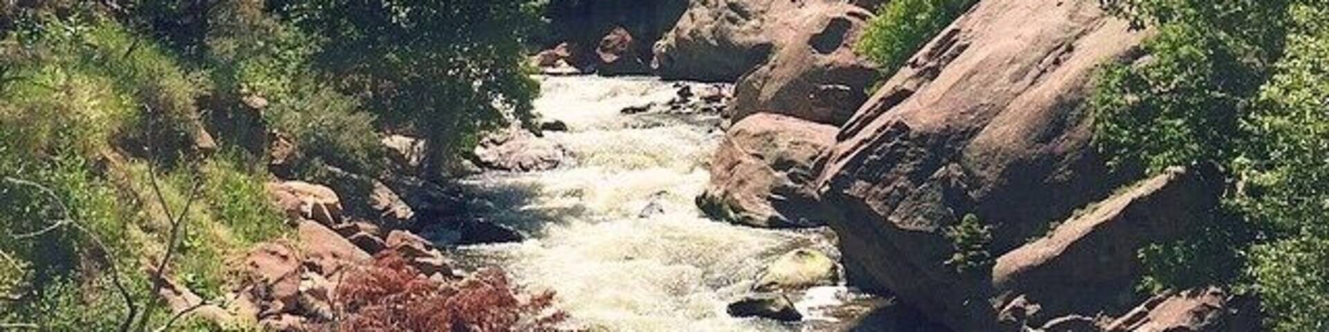 A river flowing through a rocky canyon with dense forest on the sides.