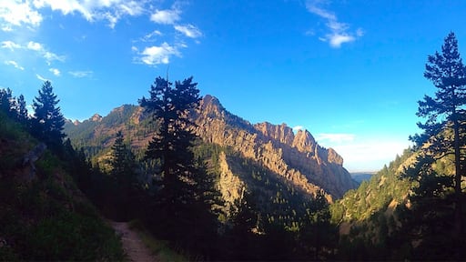 View from Rattlesnake Gulch Trail #hiking