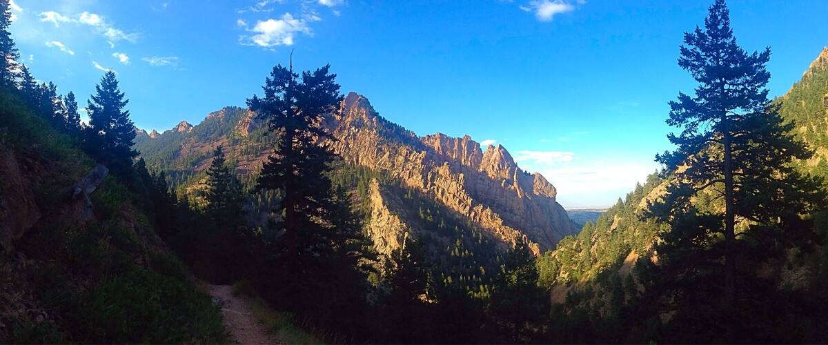A mountain valley with a dirt path, dense forest, and rocky cliffs under a clear sky.