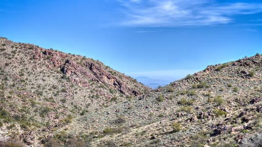 Arizona-White Tank Mountains Regional Park-Waddell-This beautiful desert park surrounded by high mountains is a wonderful area in which to hike. This is the Mesquite Trail.