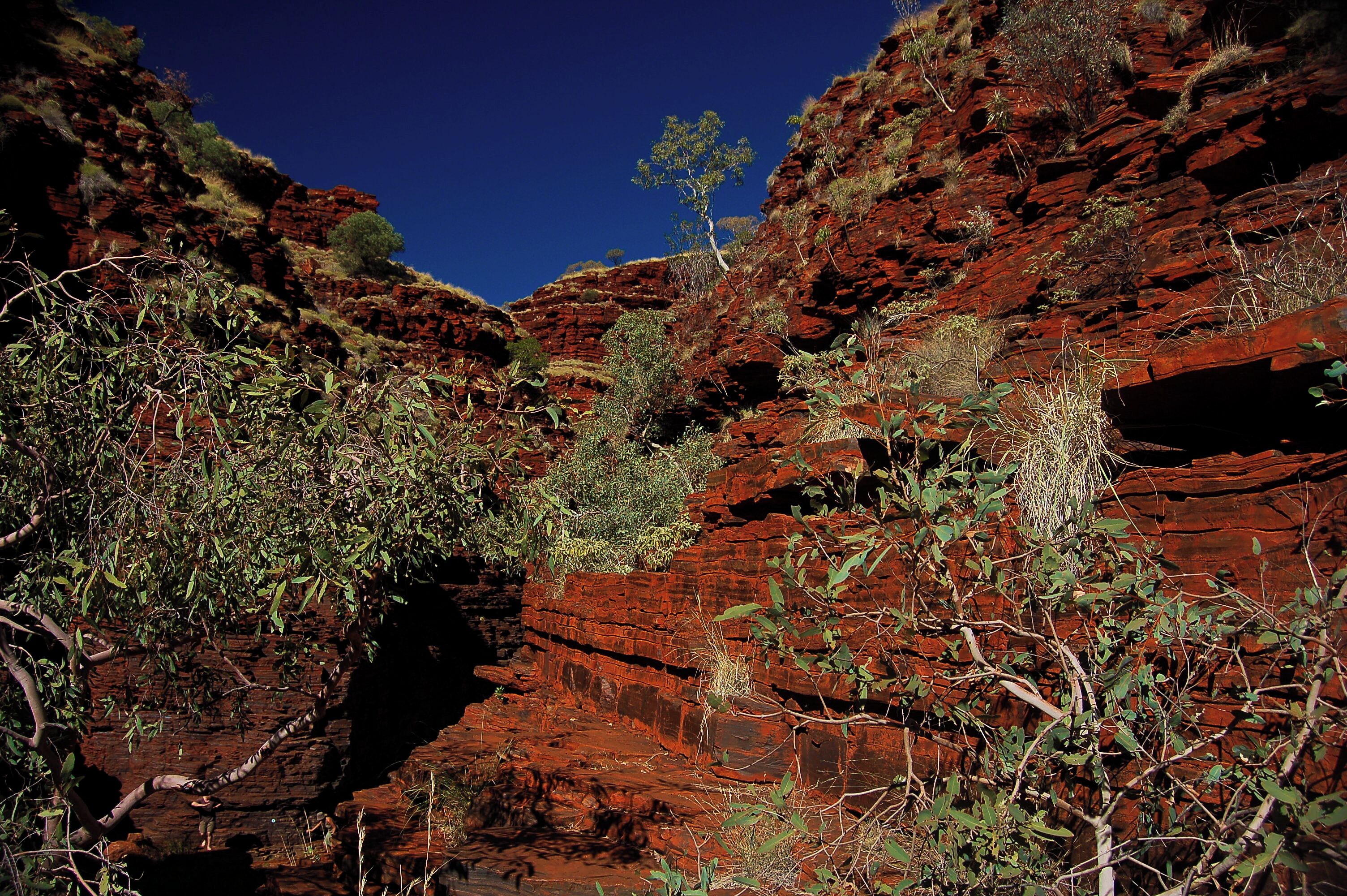 If you're wondering what my favourite national park in Australia is, it's Karijini.  The stunning narrow canyons and the vibrant colours of the rock contrasting with white ghost gums held me spellbound for a couple of days.  To give you some idea of scale, note the tiny figures in the bottom left hand of the picture.  This shot was taken in Hancock Gorge, accessed by ladder.