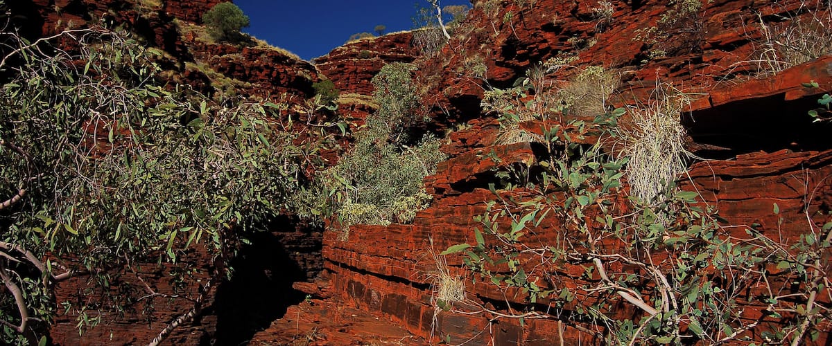 A red rock canyon with sparse vegetation and a clear blue sky.