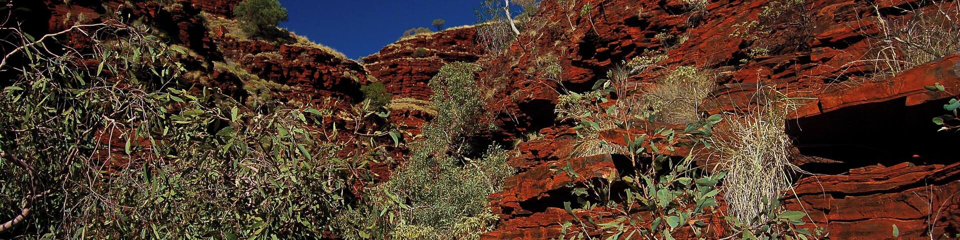 A red rock canyon with sparse vegetation and a clear blue sky.