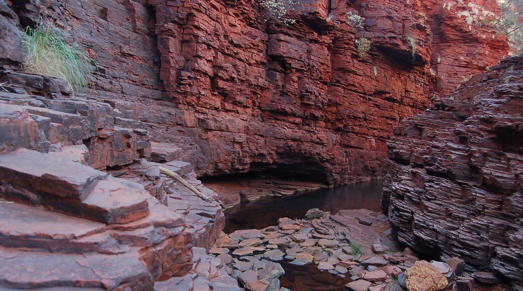 This was the first canyon I visited at Karijini N.P. You have to climb down a ladder to get into it but it's simply amazing when you're down there. The colours of the rocks is not exaggerated in any way.