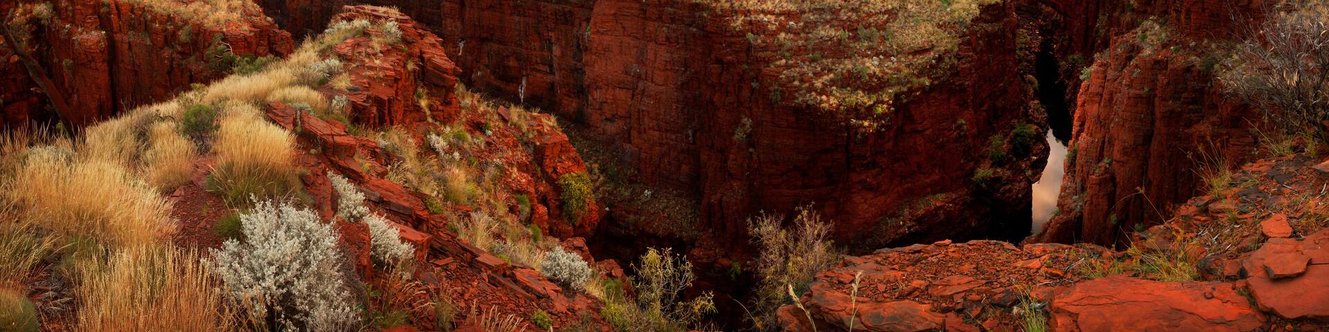 A canyon with red rock formations and sparse vegetation.
