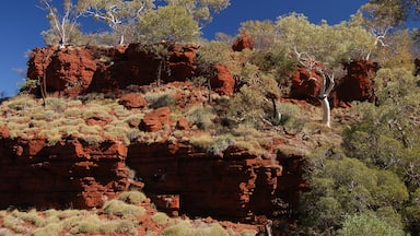 From memory I shot this just before I descended the ladder. It gives you a good idea of the colours of the region.