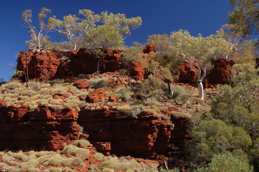 From memory I shot this just before I descended the ladder. It gives you a good idea of the colours of the region.