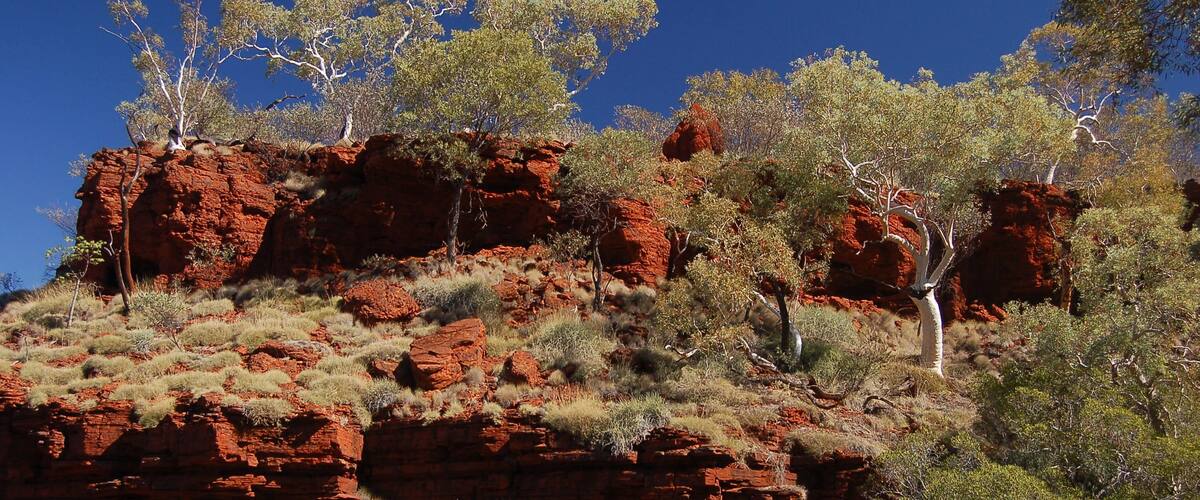 A red rock formation with sparse vegetation and trees.