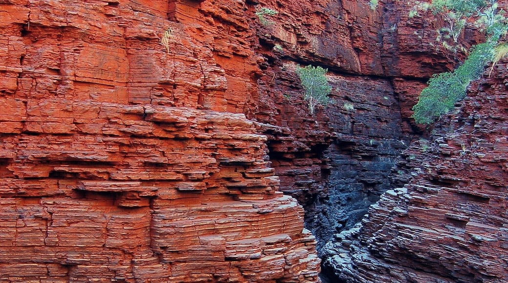 This is deeper into the canyon where it terminates but the slot ahead is called Spider Walk because you have to straddle it to go further until you reach a spot where the creek cascades into another. Strictly for adventurers only.