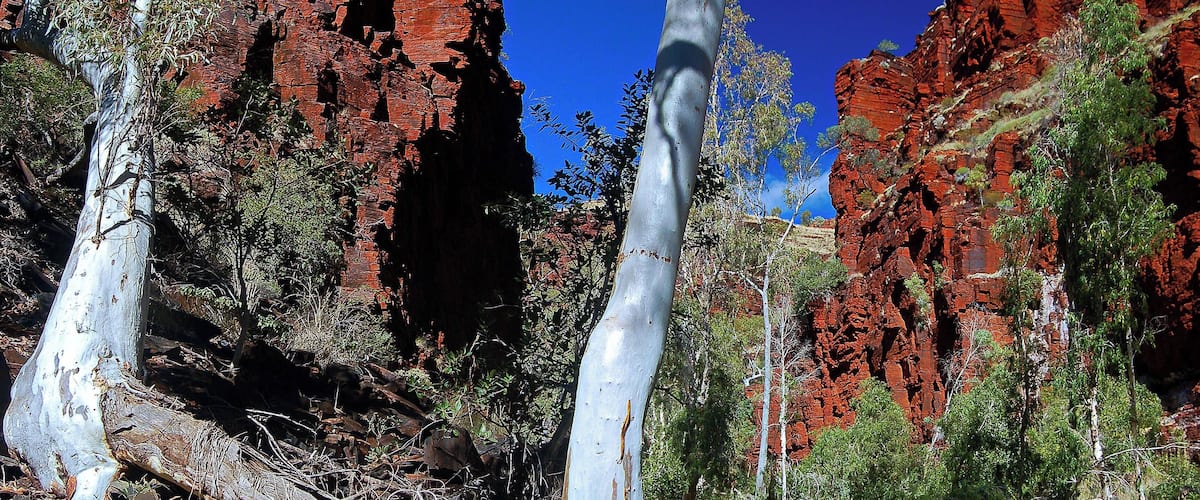 #Adventure!
See full story attached to other pic.