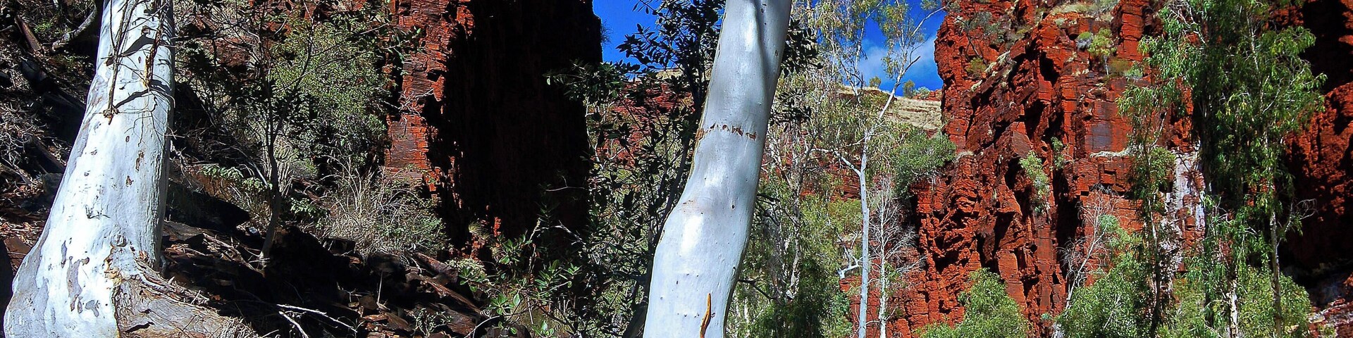 #Adventure!
See full story attached to other pic.