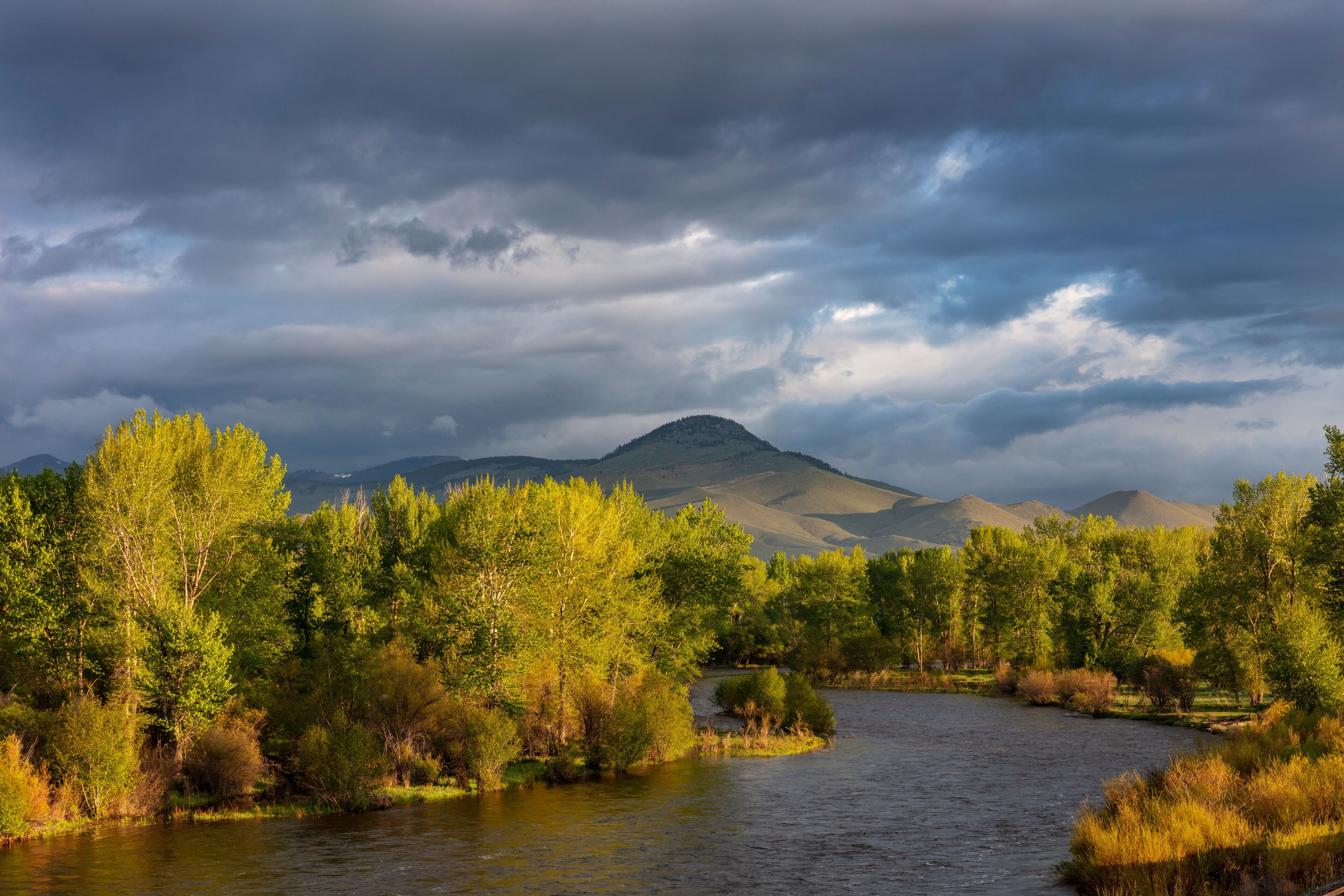 A river winding through a forest with mountains in the background.