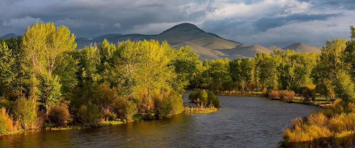 A river winding through a forest with mountains in the background.