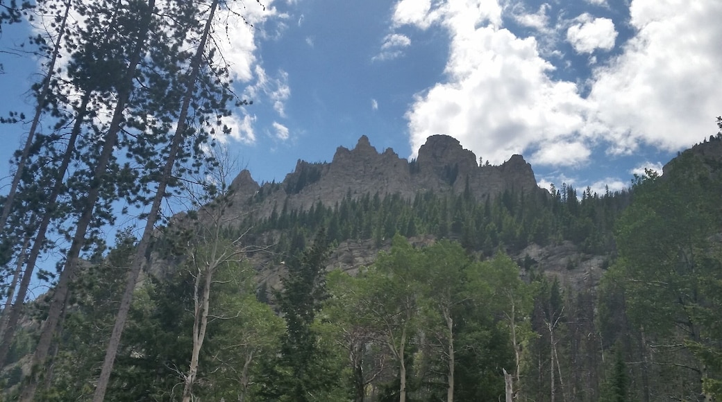 A beautiful little place in Montana