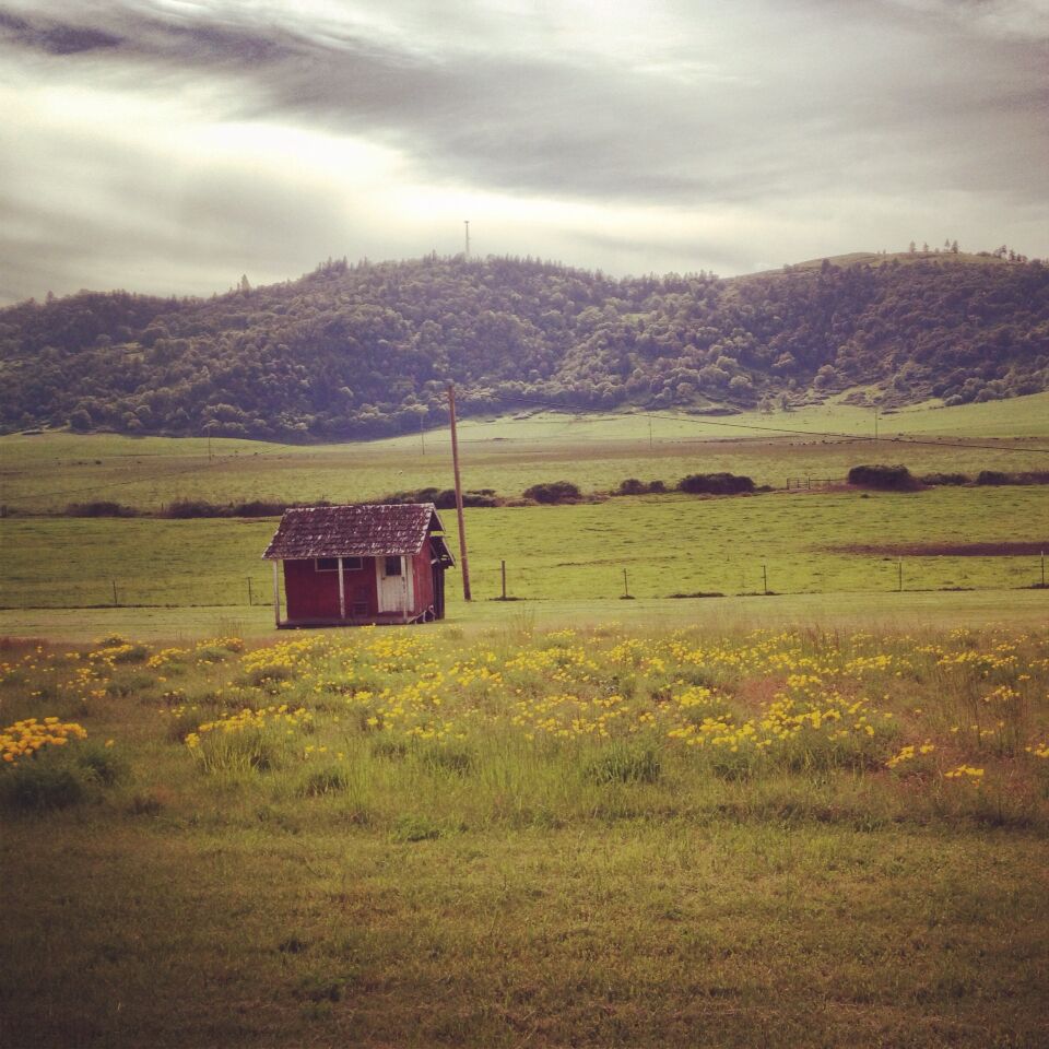 #toveon 
Little shack at the bottom of Roberts Hill 
Bike tour