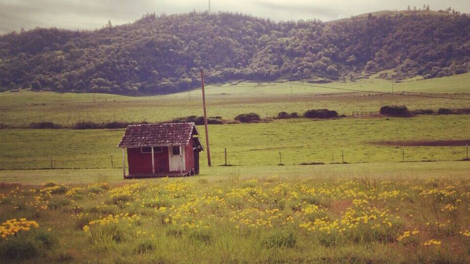 A rural landscape with a small red house, a hill with trees, and yellow flowers in the foreground.