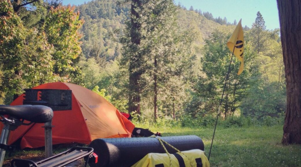 A glorious camp morning!
#biketour
#bellowwingstrangely