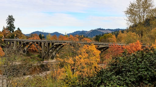 Autumn Bridge Scenery