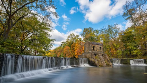 Speedwell Dam in Autumn