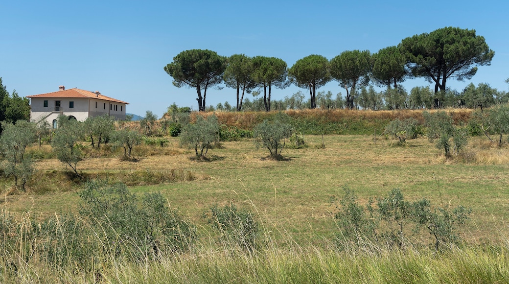 Summer landscape in Arezzo province, italy