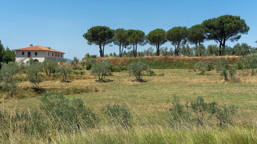 Castelfranco Pian di ScĂČ