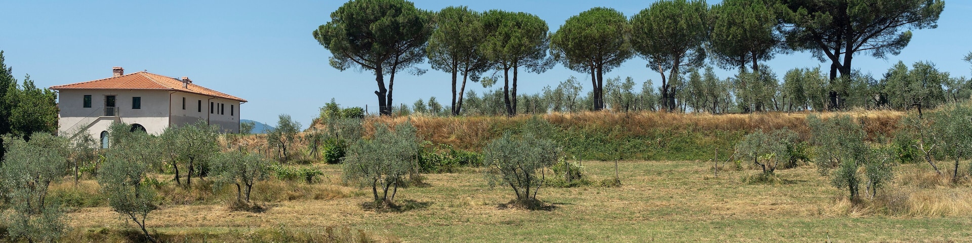 Summer landscape in Arezzo province, italy