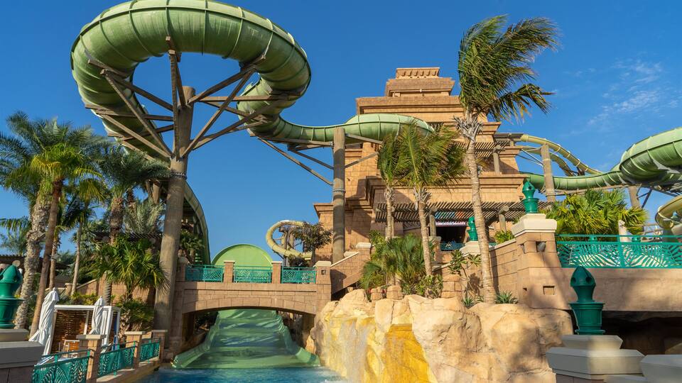 A water park with large water slides, palm trees, and a bridge.