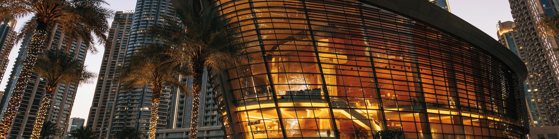 Ein modernes Gebäude mit einer gewölbten Fassade, Palmen und Hochhäusern im Hintergrund.