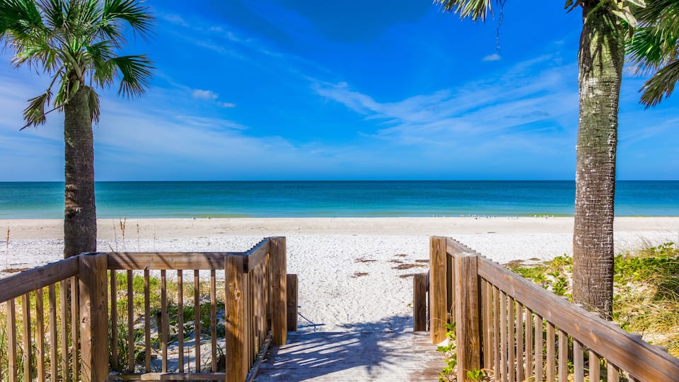 A wooden boardwalk leading to a sandy beach with palm trees and a clear blue sky.