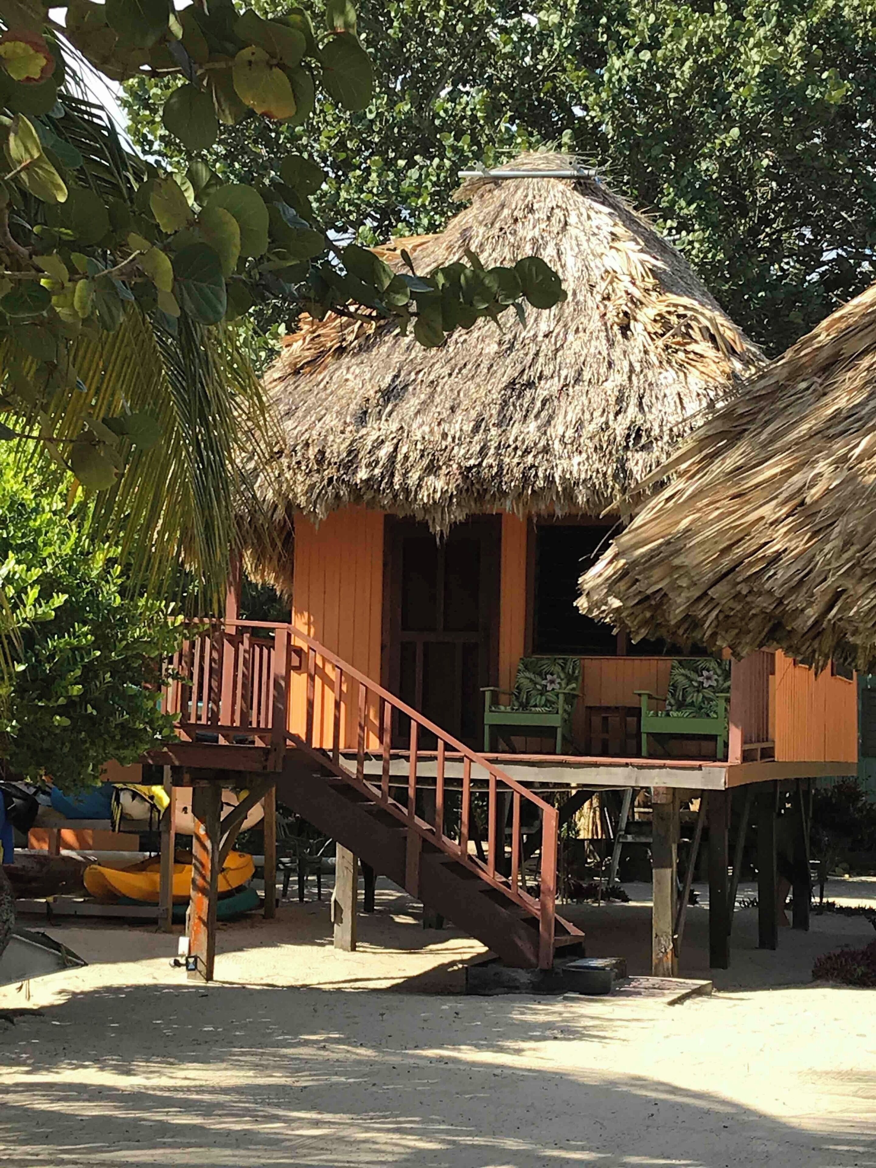 A thatched roof cabana at the Green Parrot Beach Houses