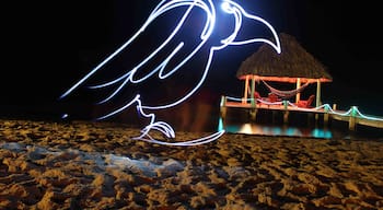 A light show at the Green Parrot Beach Houses