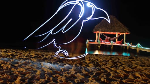 A light show at the Green Parrot Beach Houses