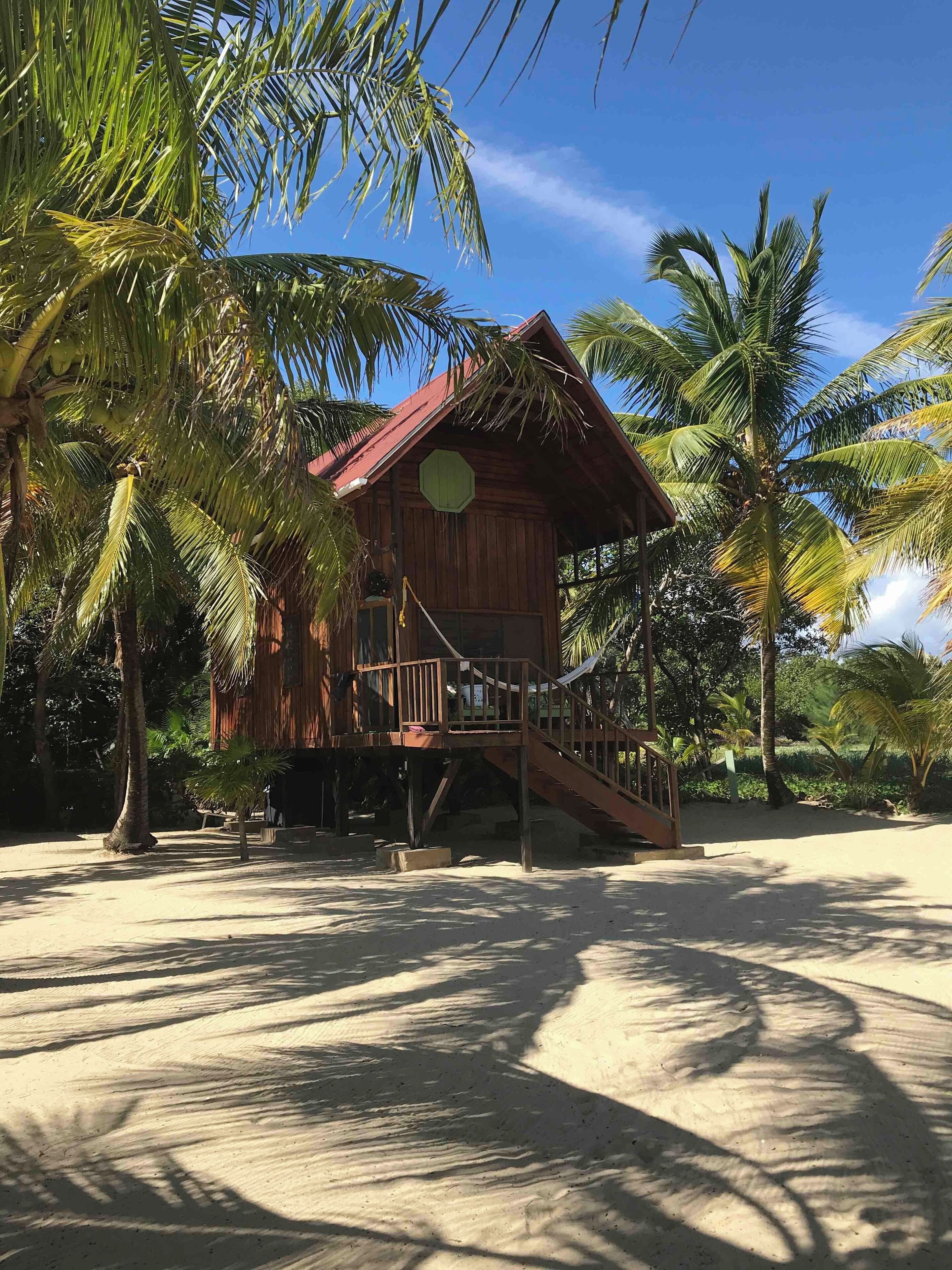 A beach house at the Green Parrot Beach Houses